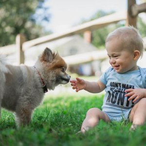 Baby und Hund Training