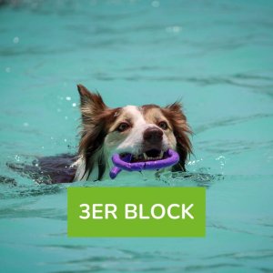 Hundeschwimmen ohne Betreuung (selber schwimmen) 1 Hund 3er Block