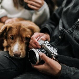Fotoshooting indoor Hund