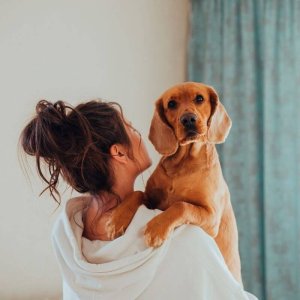 Fotoshooting indoor Hund und Mensch