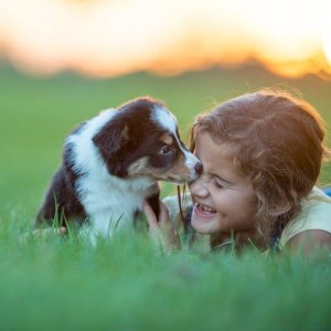 Fotoshooting outdoor Welpe und Mensch, Foto: FatCamera von Getty Images / Canva Pro
