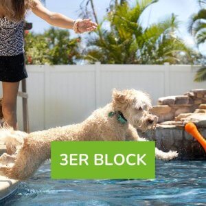 Hundeschwimmen mit Betreuung 3er Block