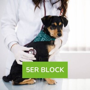Medicaltraining Hund 5er Block