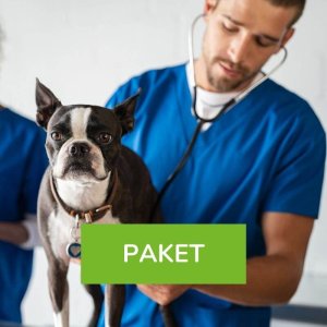 Medicaltraining Hund Paket