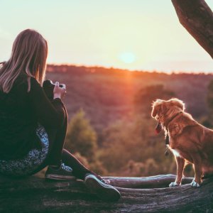 Fotoshooting outdoor Hund