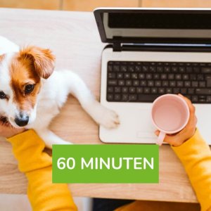 Frag eine:n Hundeernährungsberater:in (60 min)