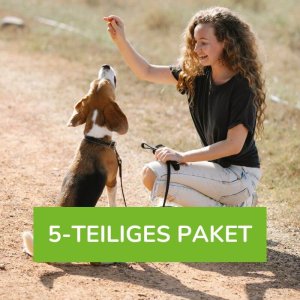 Junghundetraining 5-teiliges Paket