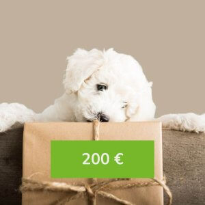 Wertgutschein 200 € für deine Hundedienstleistung