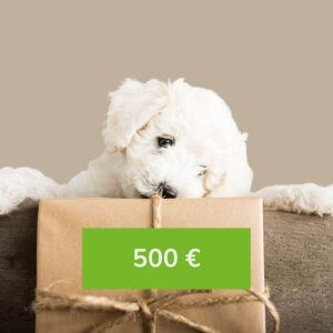 Wertgutschein 500 € für deine Hundedienstleistung