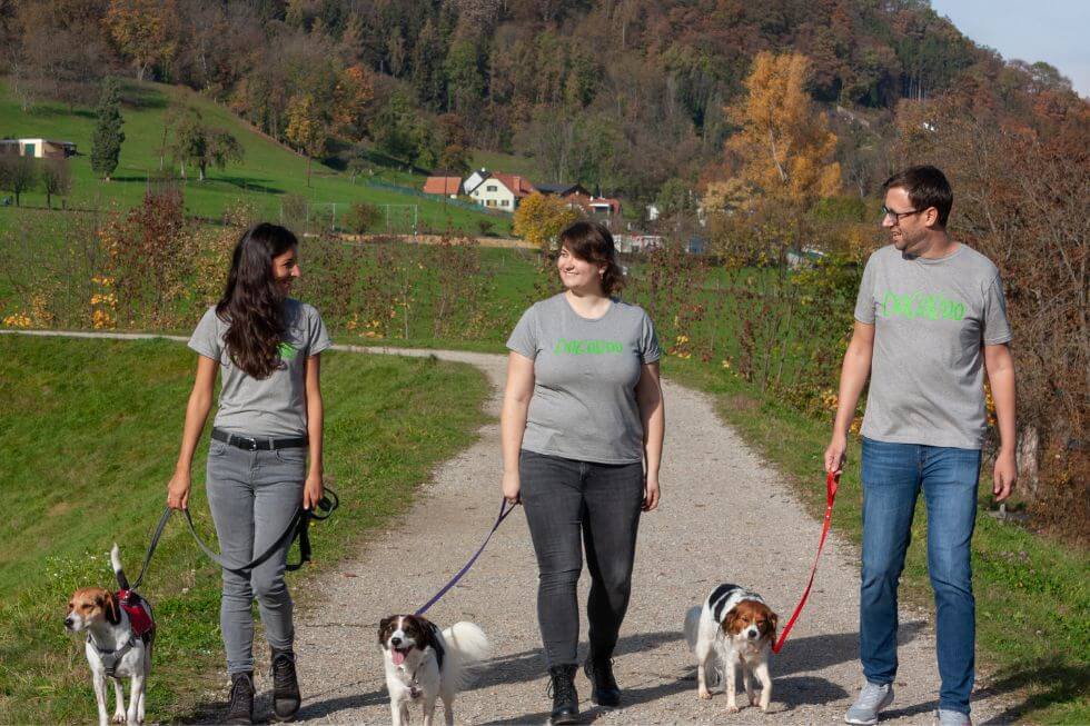 Dogoroo sucht nach Hundedienstleistern aus ganz Österreich, Foto: Maximilian Gero Moser