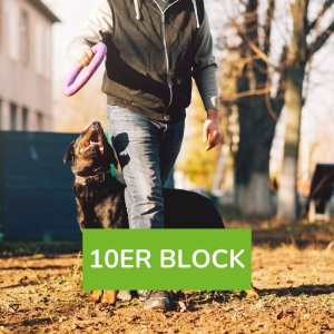 Trainings- und Beschäftigungspaket für deinen Hund 10er Block, Foto: nomadsoulphotos