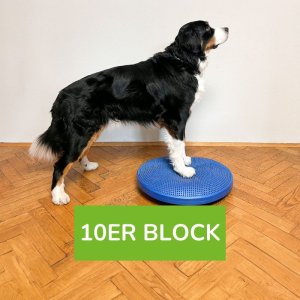 Bewegungstraining für deinen Hund 10er Block