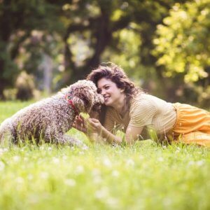 Erlebnis-Fotoshooting für deinen Hund, Foto: Liderina from Getty Images