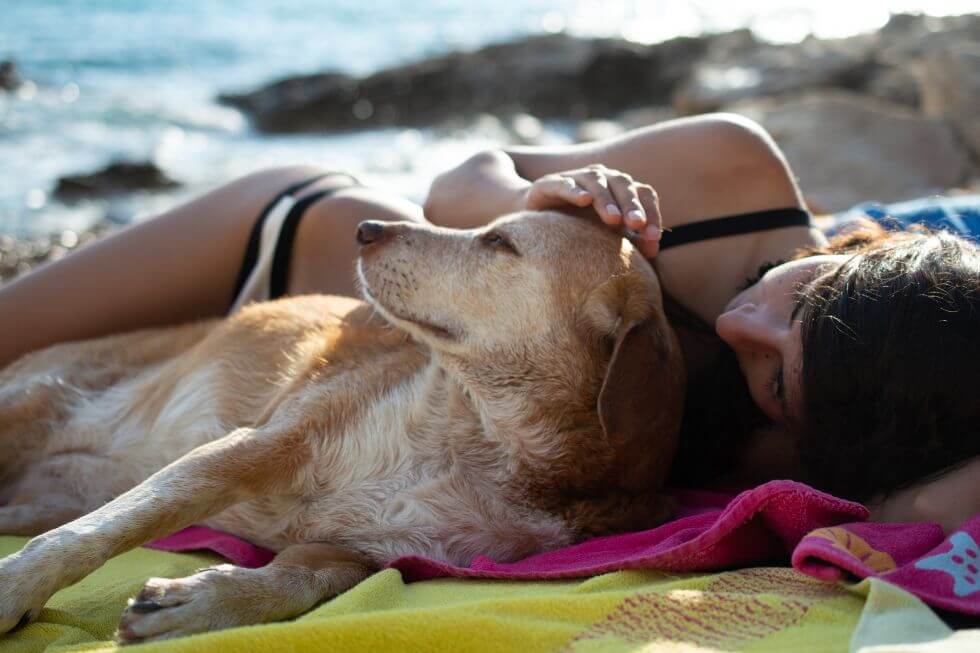 Tipps für deinen Seniorhund: Ernährung, Massage, Training und Physiotherapie, Foto: Sandra Hartlauer privat