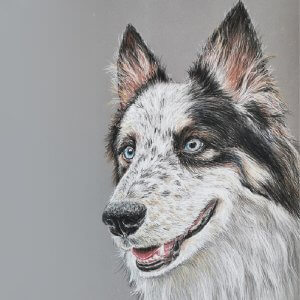 Detailreiches Hundeportrait